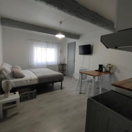 Studio Entier Saint-Laurent-dʼAigouze Zewnętrze zdjęcie